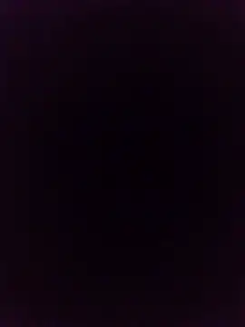 sexysexylaky webcam