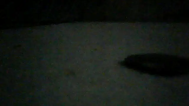 SirFrankonde webcam