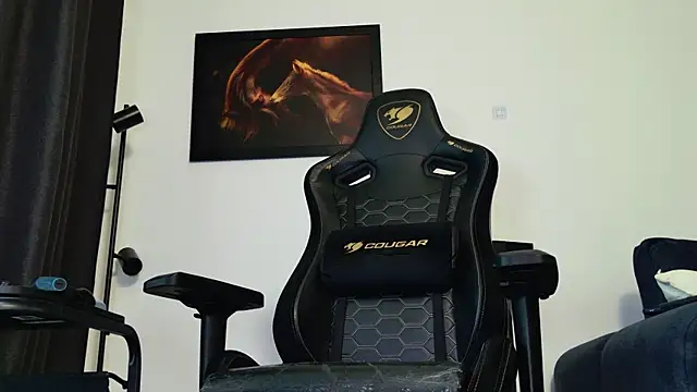 ChrisKox webcam