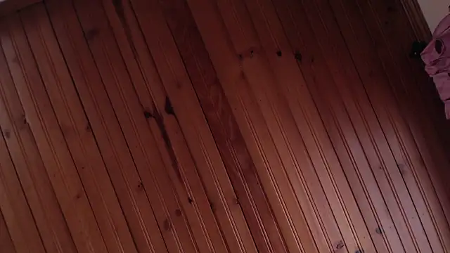 AyameFoxy webcam