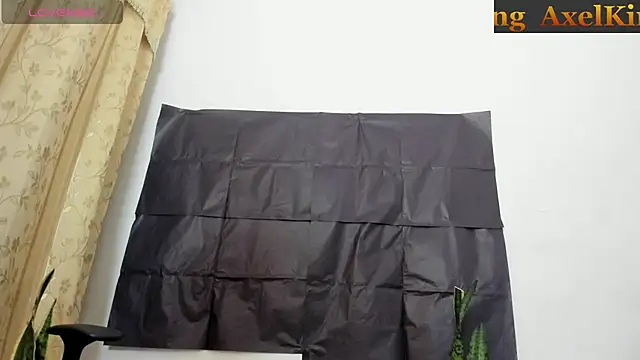 _axelking_ webcam