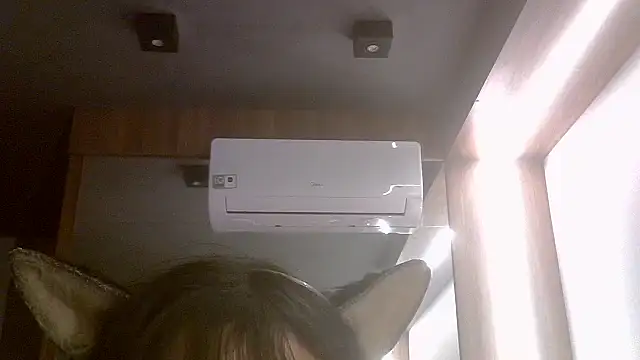 SkinnyKitten live cam