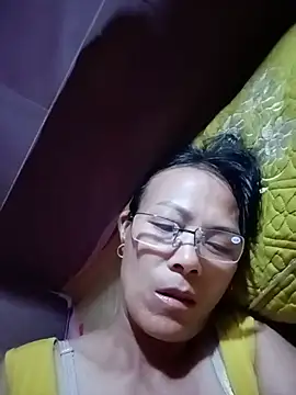 toyo_668 webcam