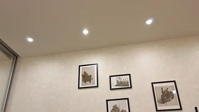 dolly_ll webcam
