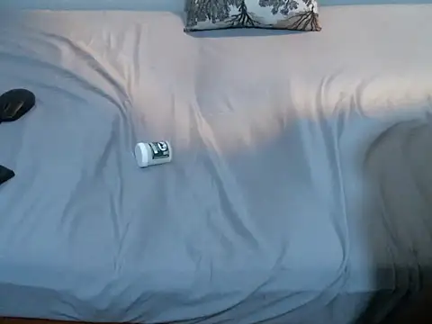 sanaipee webcam
