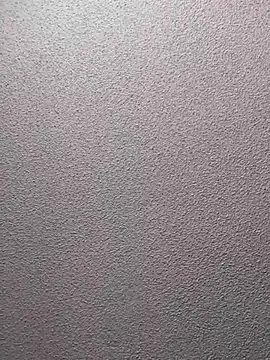 DevineBLK8 live webcam