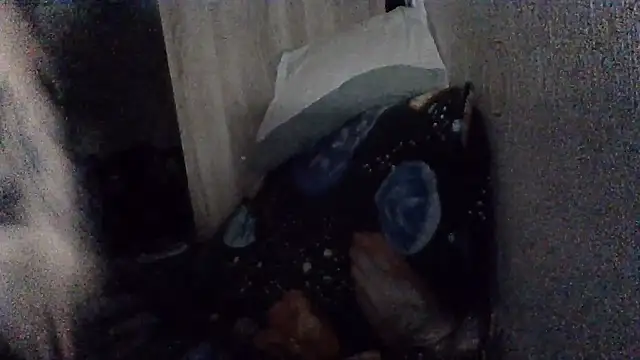 AllaSowinskaya webcam