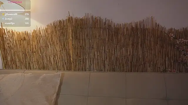 bunnycuteshy live cam