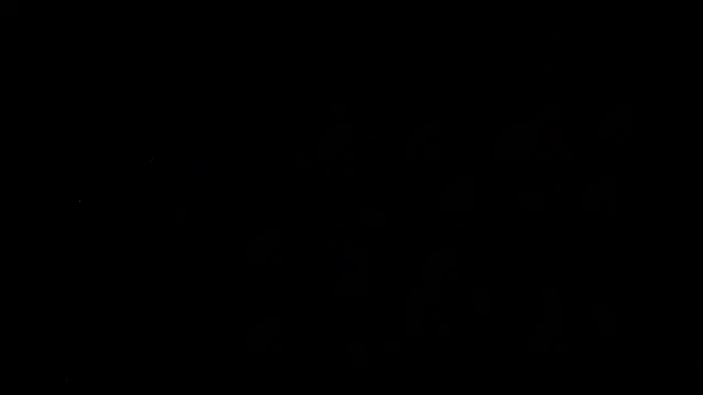 SirFrankonde webcam