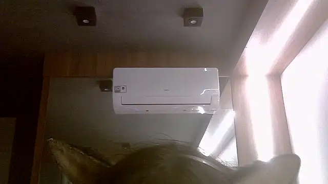 SkinnyKitten live cam