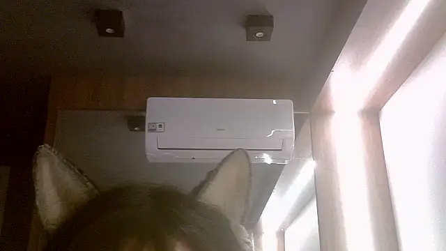 SkinnyKitten webcam