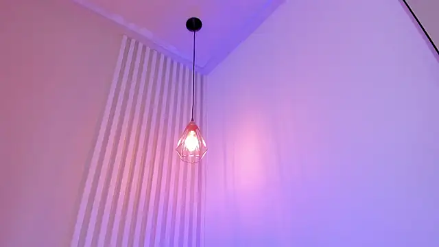 deluca_vega webcam