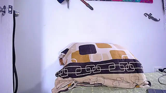 damn_fox webcam