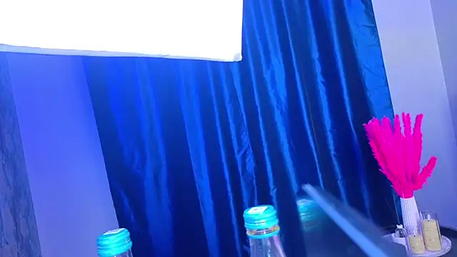 PerryKitty webcam