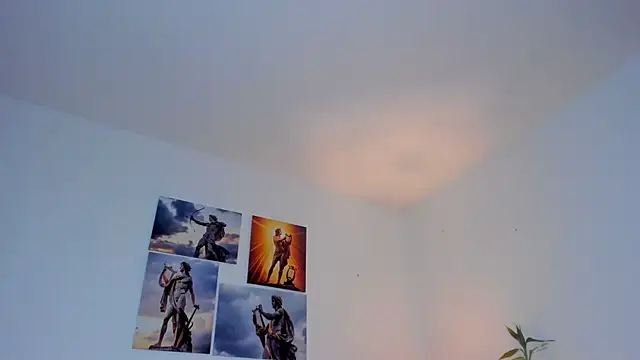 Gersonzt webcam
