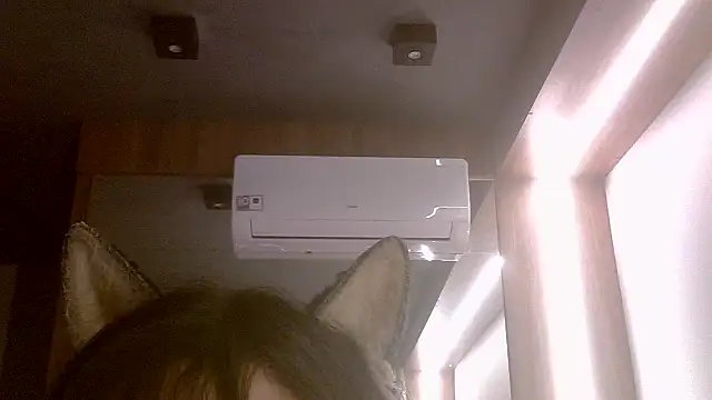SkinnyKitten webcam