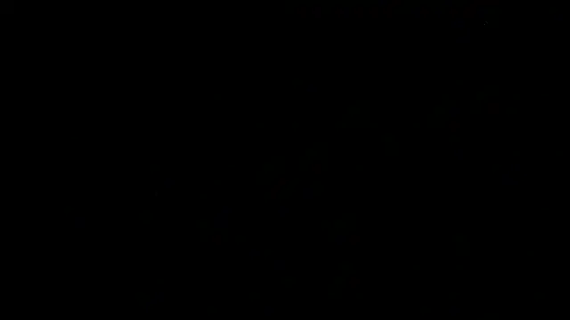 SirFrankonde webcam