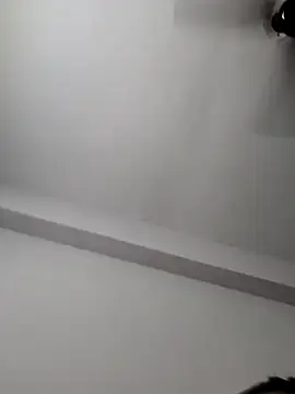 top_mickey webcam