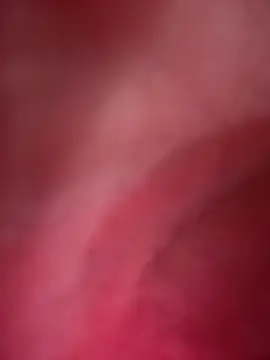 PamelaJonsom_ webcam