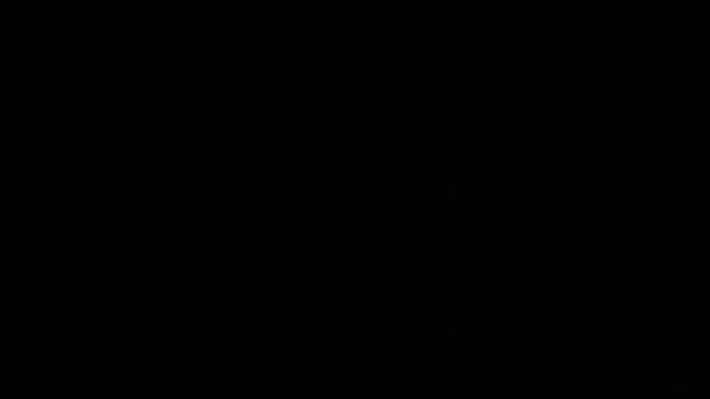 SirFrankonde webcam