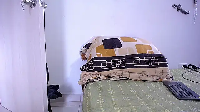 damn_fox webcam