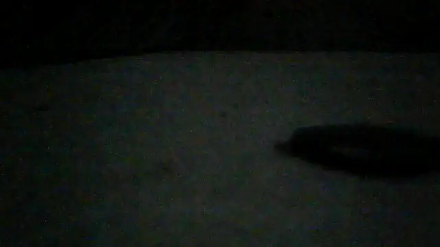 SirFrankonde webcam