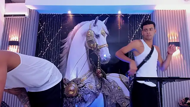 the_knights_of_the_night_ webcam