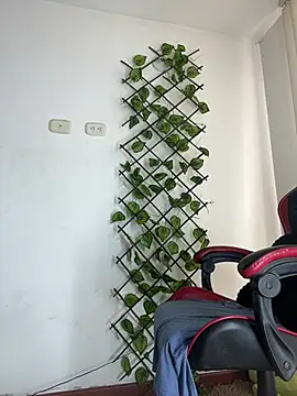 NelModel1 webcam
