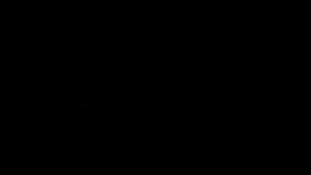 SirFrankonde webcam