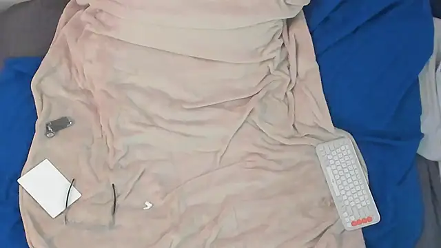 tomfork webcam