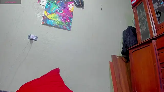 ANEVANS2 webcam