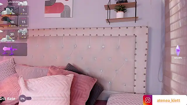 Atenea_Klett_ webcam