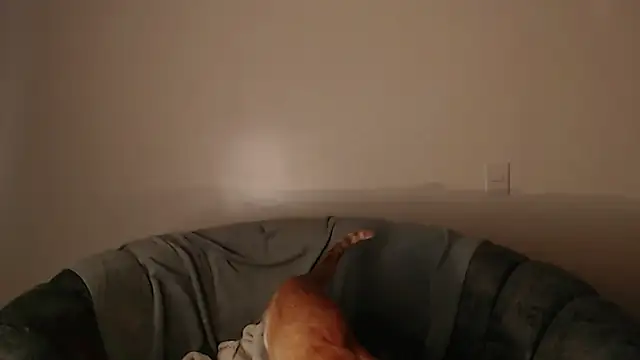-Honeyy webcam