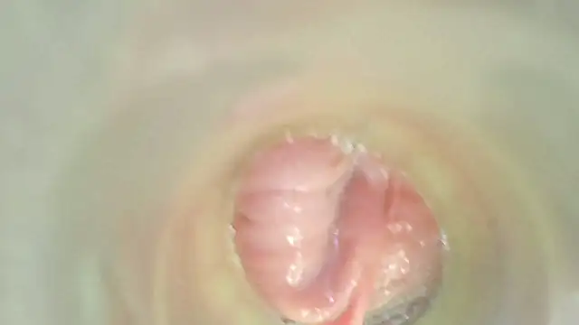 karol_stom webcam