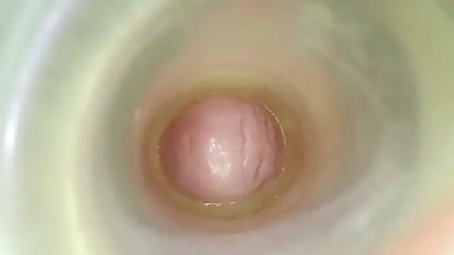 karol_stom webcam