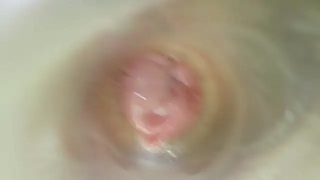 karol_stom live webcam show