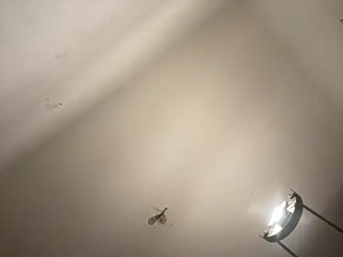 crisfootlicker webcam