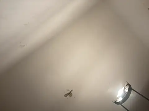 crisfootlicker webcam