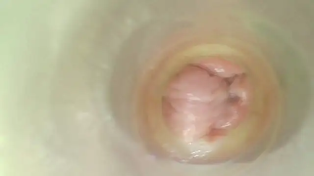karol_stom webcam
