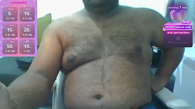 indianbearbot webcam