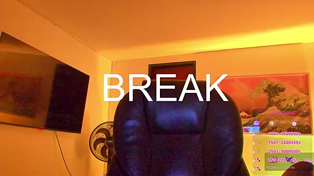 RJBarto webcam