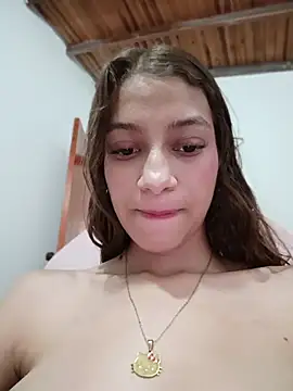 Vanneskk webcam