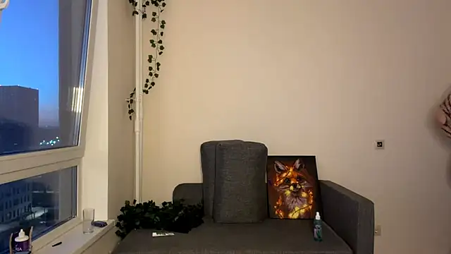 Litliu webcam
