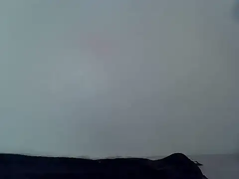 sweetgirlriri webcam
