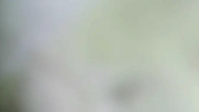 karol_stom live webcam show