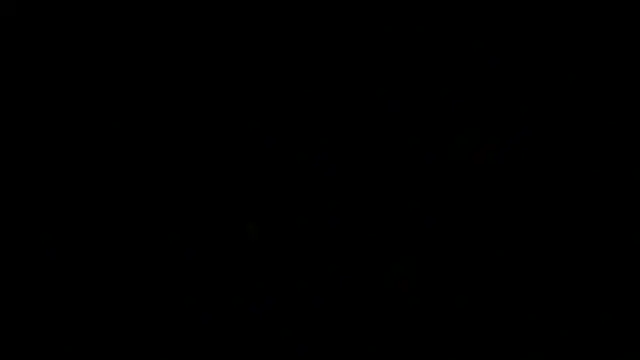 SirFrankonde webcam