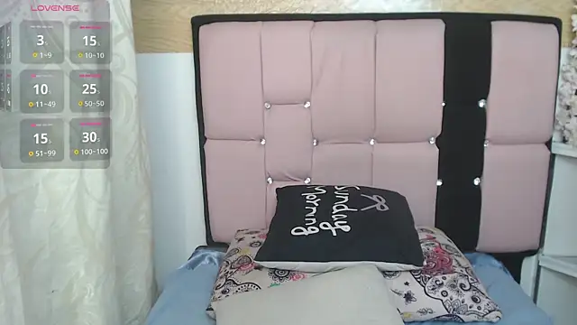palmer_mIix webcam