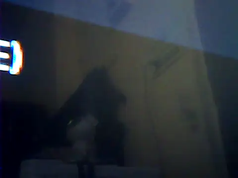 sanik_2428 webcam
