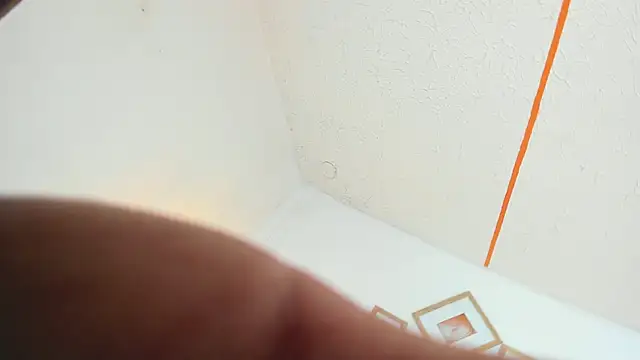 Irina_and_Max webcam