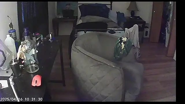 Livingpuddle webcam